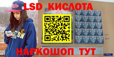 тгк Бийск