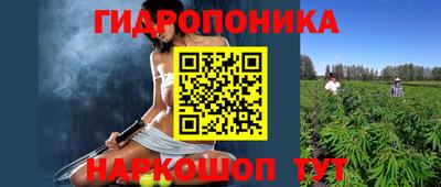 тгк Бийск