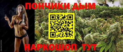 тгк Бийск