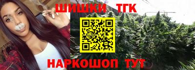 тгк Бийск