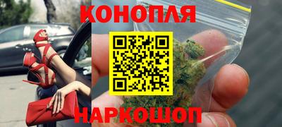 тгк Бийск