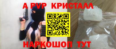 тгк Бийск