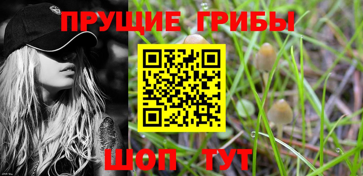 Казань  Псилоцибиновые грибы мухоморы  Псилоцибиновые грибы Magic Shrooms  Вход с VPN 