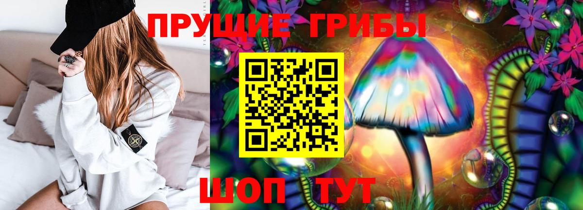 Псилоцибиновые грибы Psilocybine cubensis Казань